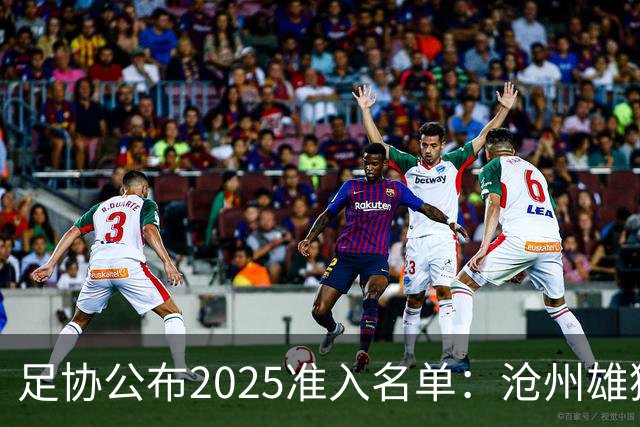 足协公布2025准入名单：沧州雄狮、广州队无缘